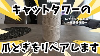 キャットタワーの爪とぎがボロボロなのでリペアします