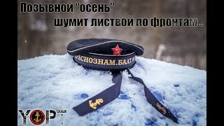 Листвой по фронтам 2019