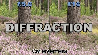 Testing Diffraction on OM SYSTEM Cameras - Which Apertures Would I Avoid?