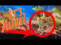 Rayquatics Fishroom Tour!