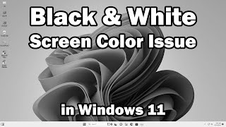 How to fix Black & White Display / Screen Error in Windows 11 PC or Laptop