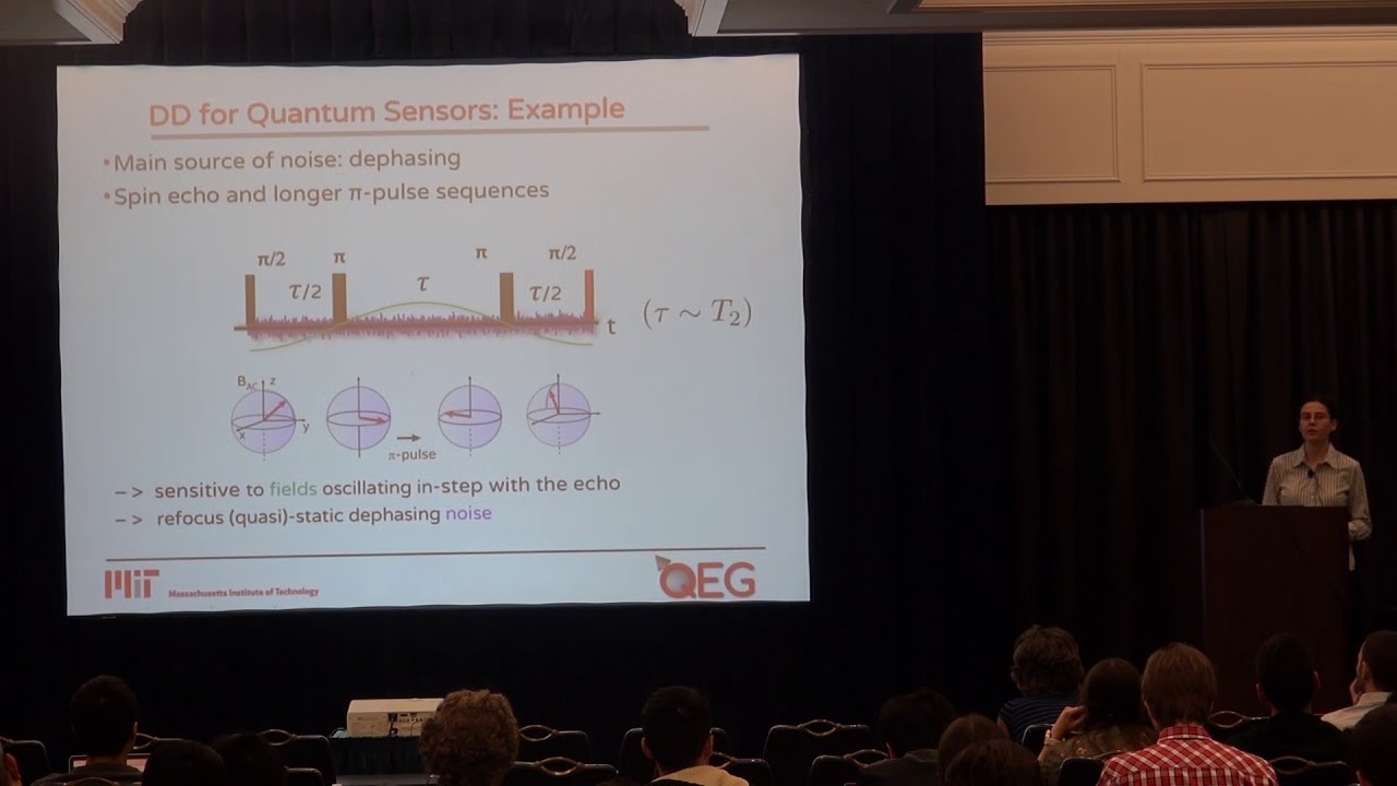 Paola Cappellaro: Quantum error correction for sensing
