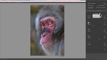 Mastering the Nik Collection - 23: Wrapping Up RAW Presharpening