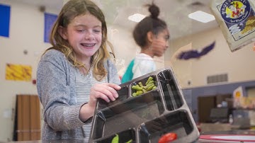 Composting correctly- sorting organics at school