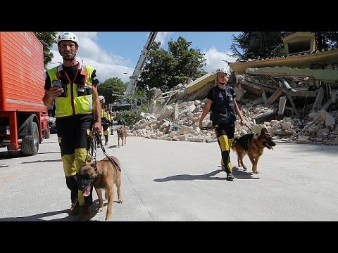 Βίντεο: Πόσο ψηλά είναι τα απέννινα;