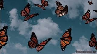 CKAY - EMILIANA ( s l o w e d - r e v e r b ) 🖤