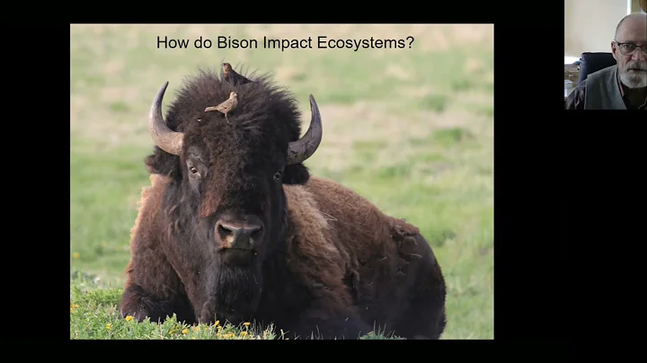 The Ecological Buffalo | OCS Science Seminar