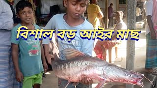 কিশোরগঞ্জ বাজিতপুর পাটুলী ফেরিঘাট মৎস্য আড়ৎ
