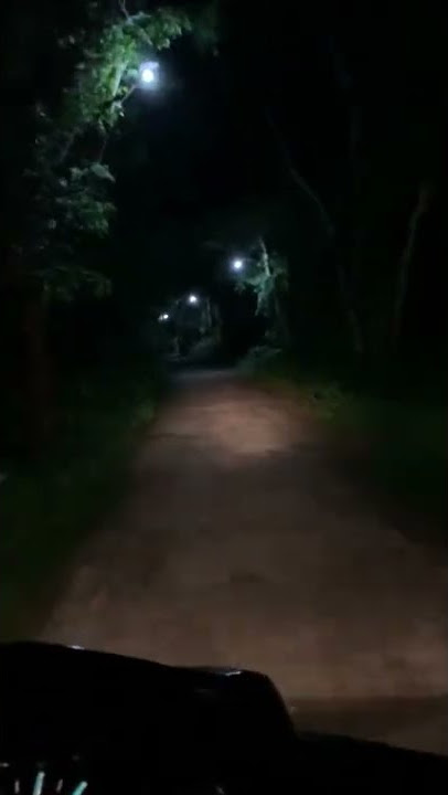 Naik motor malam hari di tengah hutan