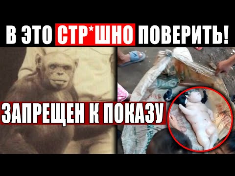 УЧЕНЫЕ ОТКРЫЛИ МИРУ Ж*ТКУЮ ПРАВДУ! МОРОЗ ПО КОЖЕ ОТ ЭТИХ КАДРОВ! 21.03.2021 ДОКУМЕНТАЛЬНЫЙ ФИЛЬМ HD