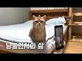냥플런서의 하루.. 컨텐츠 촬영현장 대공개