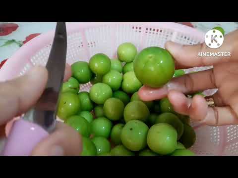 Rujak Plum