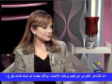 لقاء الكاتب محمد شكري ومناقشه كتابه رجال سرقوا مصر ج1