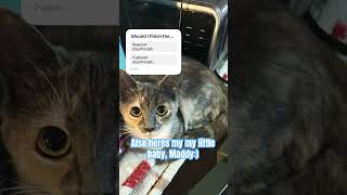 Download Lagu Please vote whichever you want #fyp #gaming #shorts #vote MP3