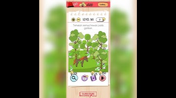 brain test level 165