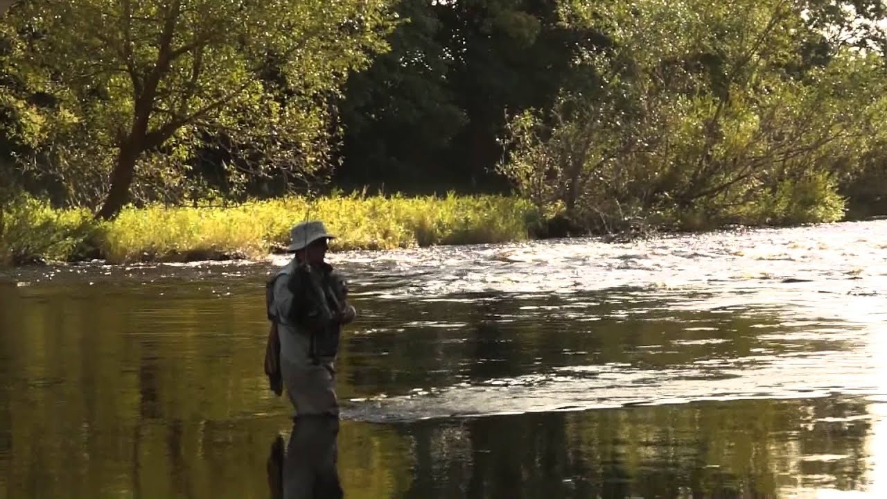 Grayling Fly fishing part 2. Dry fly delight YouTube