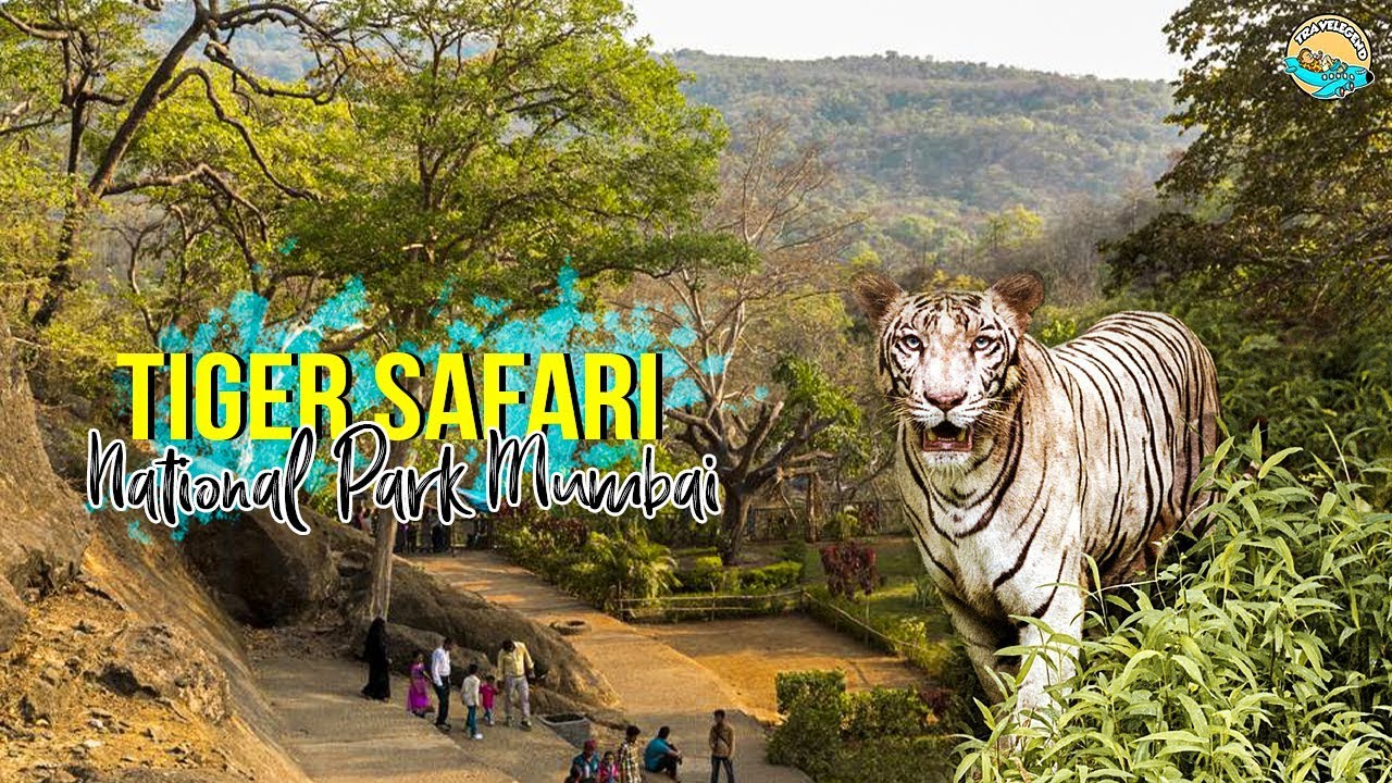 tiger safari youtube