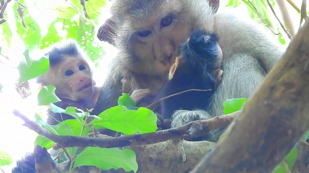 Mother Casi Communicates With Her Cute Baby