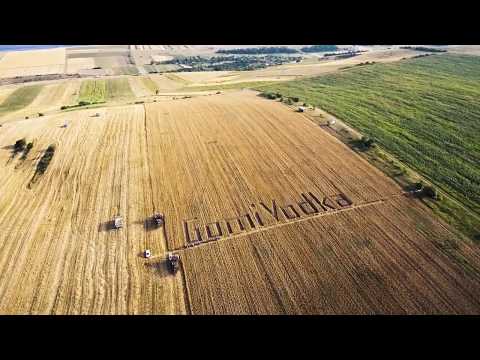 GomiVodka - ხორბლის აღება, Harvesting the wheat, Уборка пшеницы