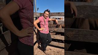 my dairy farm routine vlog | Tatiane Dairy Farm | #shortsfeed #farming #lifeisbutadream #cow #viral
