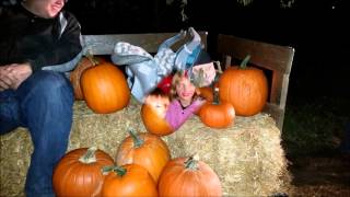 Pumpkin patch movie