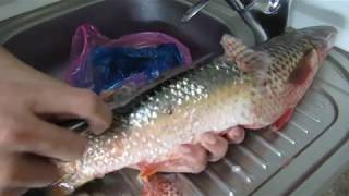 Чистка и разделка рыбы (пиленгаса)