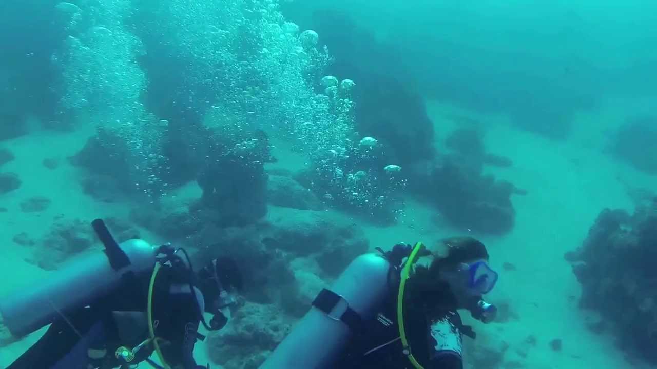 Diving Zanzibar 2013