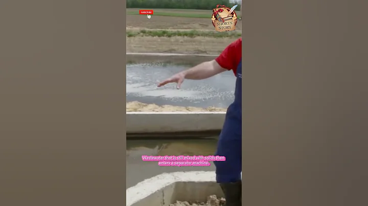 Creative Ways for Cattle Farmers to Process Cow Manure Well #shortvideo #trending #shorts