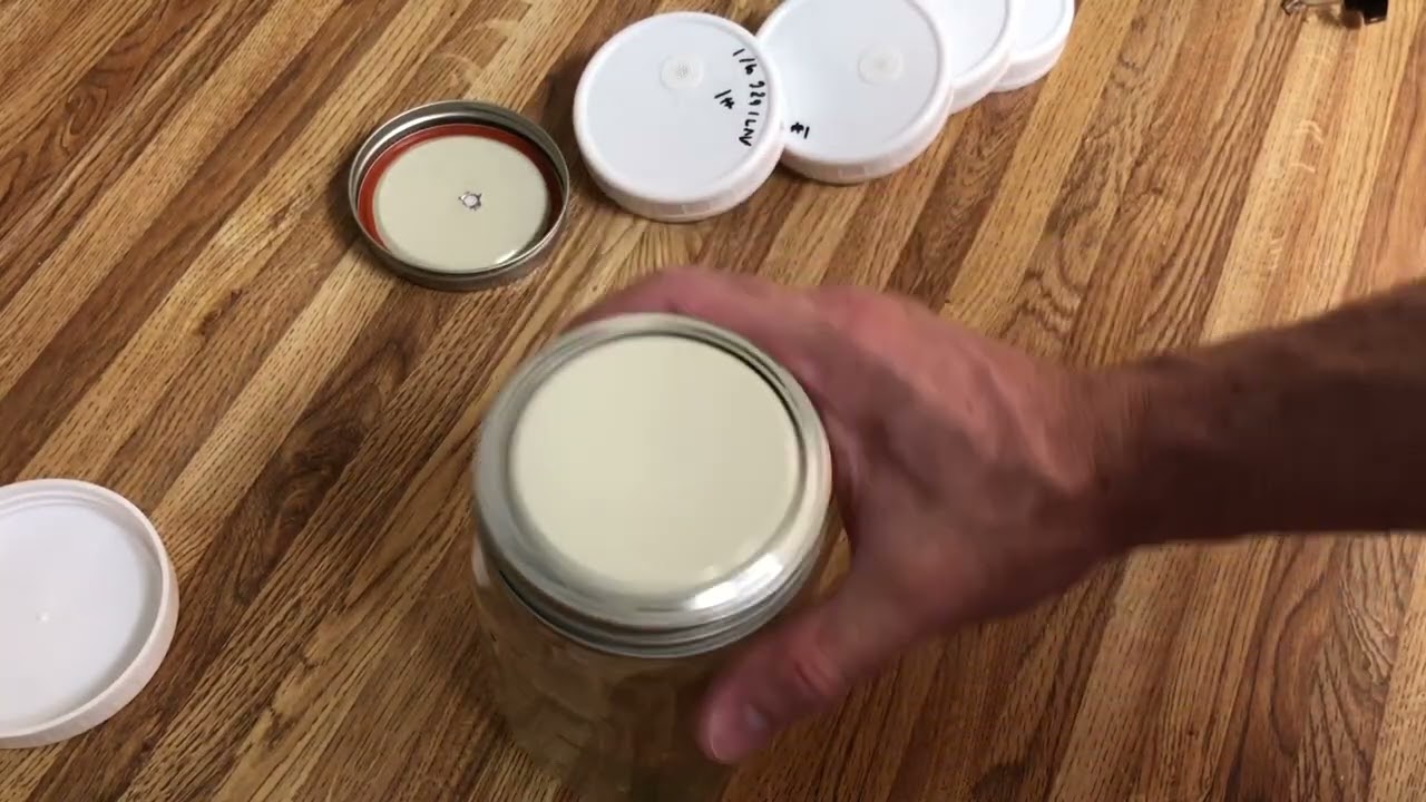 How to prepare wild bird seed grain spawn for mushroom growing. EASY!