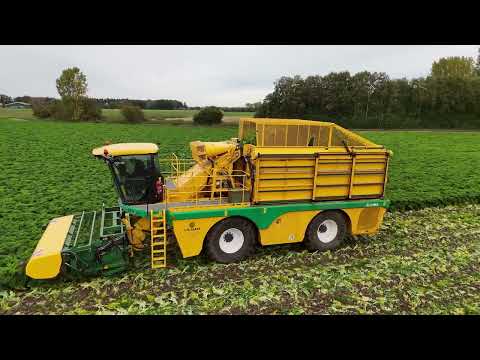 Kale harvest in Lower Saxony with the OXBO MK2140L harvester