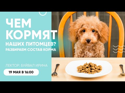 Видео: Новые изменения на этикетке корма для животных сделают чтение фактов питания проще, чем когда-либо