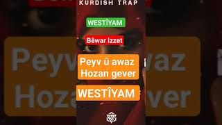 #westiyam #tahaahmed #hozangever  #keşfet Resimi