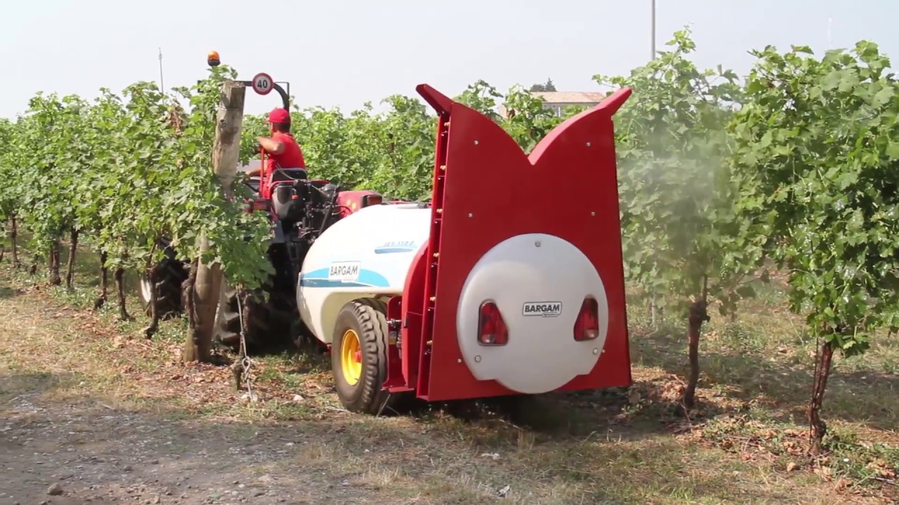 Jet Fruit Bargam - Enovitis in Campo 2017