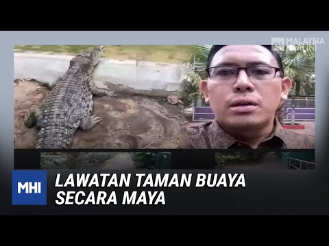 Video: Cara Membuat Lawatan Maya