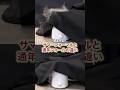 【礼服】サマーフォーマルと通年フォーマル、結局何が違う? #shorts