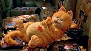 Garfield: Garfield (2004) (5)