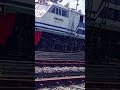 yang di foto itu albino railfans daop 9 klakah