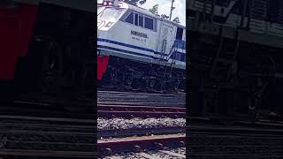 yang di foto itu albino railfans daop 9 klakah