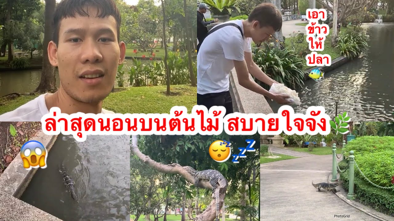 ไปเดินเล่นเอาข้าวให้ปลา ￼￼ในสวนสาธารณะ ￼🥰❤️🐠