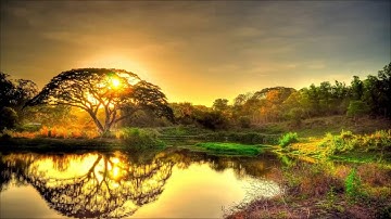القارئ عبد العزيز الزهراني سور : النجم، الواقعة، الملك، القلم، الحاقة، المعارج، القيامة، الفجر