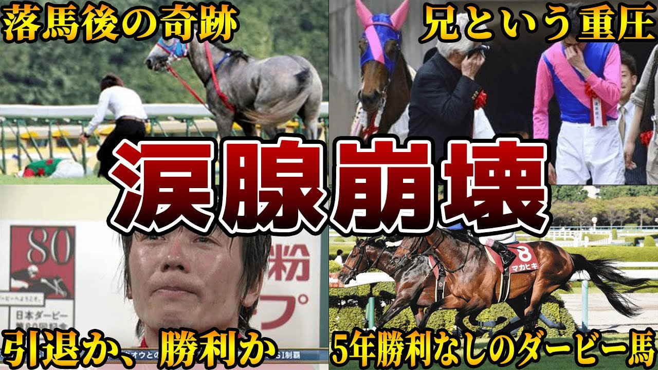 感動】競馬史に残る涙腺崩壊エピソード6選を紹介【マカヒキ】 - YouTube