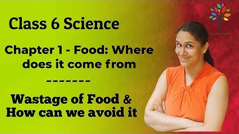 CLASS 6 SCIENCE CHAPTER 1 | Food Where does it come from | Chapter 1 Class 6 Science (Part 4)