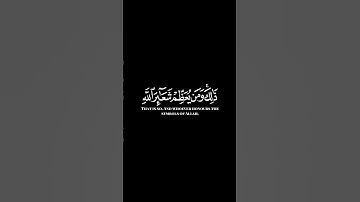 كرومات ايات قرانية شاشة سوداء || سورة الحج للقارئ #رعدالكردي #سورة_الحج #سبحان_الله_وبحمده