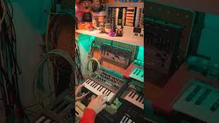 MicrobruteEffects with RC-20 by @ainsworththemusician #shorts #synth