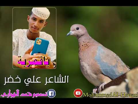 علي خضر ياقمريه