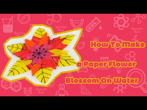 How To Make a Paper Flower Blossom On Water?