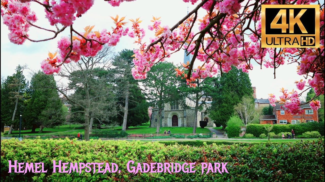 Gadebridge Park, Hemel Hempstead UK 🇬🇧  Part 2