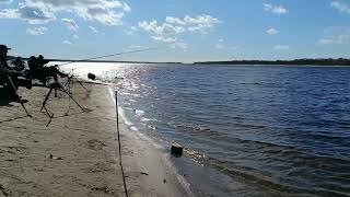 РЫБАЛКА ЗАПОРОЖЬЕ ПЛОТВА КРУПНАЯ ЛОВИТЬСЯ