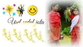 New Santali Chapa Raginsarli Status Videos