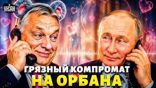 🐭Я ваша мышка! Орбан нежно щебечет с Путиным: запись слили в сеть. Позорище на весь мир